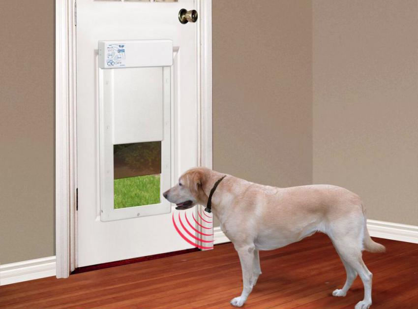 Troubleshooting your Electronic Pet Door